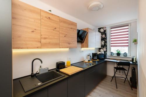 cocina con fregadero y encimera en Ładne mieszkanie w pobliżu Energylandii + Parking, en Zator