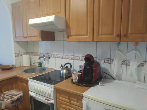 Η κουζίνα ή μικρή κουζίνα στο Apartament w Centrum Chełma
