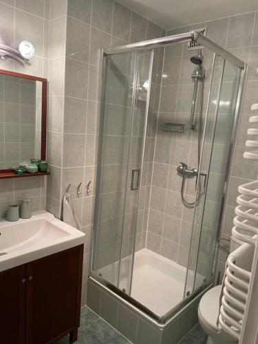 クリニツァ・モルスカにあるApartament Giuliaのバスルーム(シャワー、トイレ、シンク付)