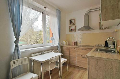 Η κουζίνα ή μικρή κουζίνα στο Jediný apartmán Tatranská Štrba