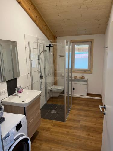 a bathroom with a shower and a sink and a toilet at Ferienwohnung Ballon im Allgäu in Lechbruck