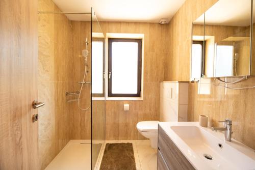 a bathroom with a toilet and a sink and a shower at Apartment Tiara 2 in Rodine