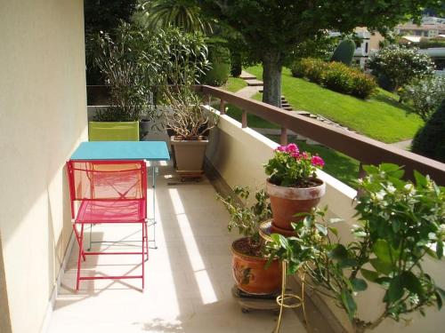 Κήπος έξω από το 80m2 dans Parc Classé, Piscine, Calme, 5mn de Cannes