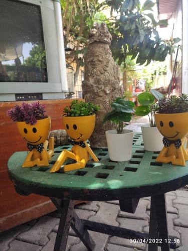 a table with fouro people on it with potted plants on it at Side Tuana Garden Home in Side