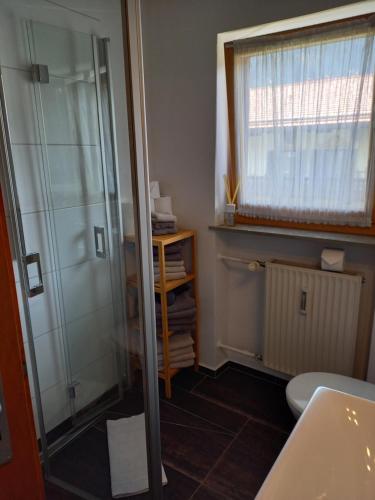 baño con ducha y aseo y ventana en Ferienwohnung Bayrischzell en Bayrischzell