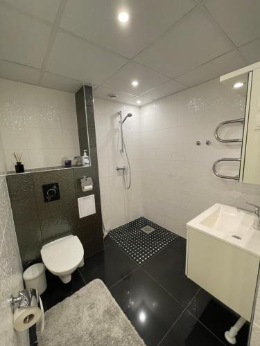 a bathroom with a toilet and a sink at Guest House Bermuuda Apartment in Paide