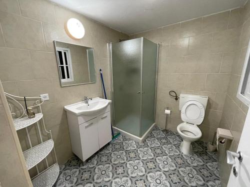 a bathroom with a shower and a toilet and a sink at אל מול חרמון- דירה באווירה כפרית עם נוף לחרמון in Sheʼar Yashuv