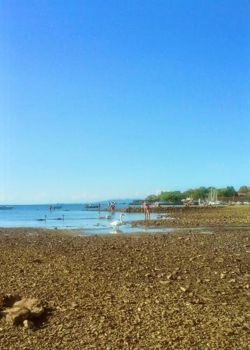 a beach with people swimming in the water at VILLA mandala in Ankaran