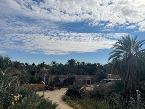 a house with palm trees and a cloudy sky at Sleep In Siwa in Siwa