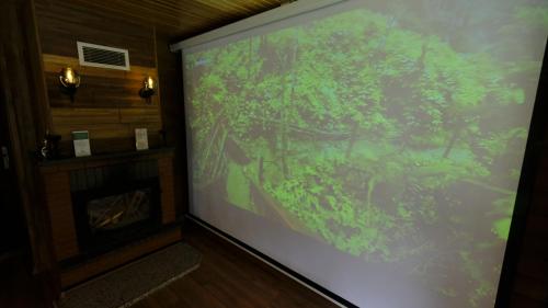 Foto dalla galleria di Ayder Villa de Pelit Hotel ad Ayder Yaylasi