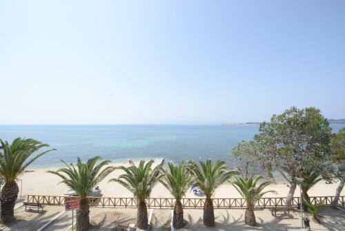 a view of a beach with palm trees and the ocean at Hotel Akrogiali in Ouranoupoli