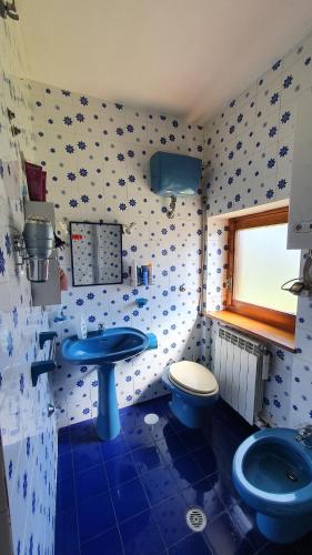 a bathroom with a blue sink and a toilet at Dimora San Vincenzo in Pescocostanzo