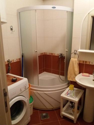 a bathroom with a shower and a washing machine at Kragić apartman in Soko Banja