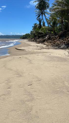 a sandy beach with palm trees and the ocean at Atlantic Wave Villa in Aguada