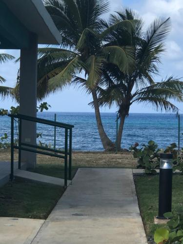 a walkway to the beach with a palm tree and the ocean at Atlantic Wave Villa in Aguada