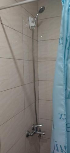 a shower head in a bathroom with a shower curtain at Ilio Socrates in Skala Marion