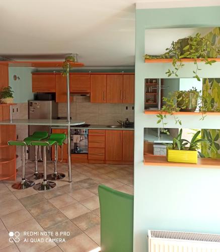 ミコワイキにあるApartament Wikiのキッチン(木製キャビネット、緑のバースツール付)