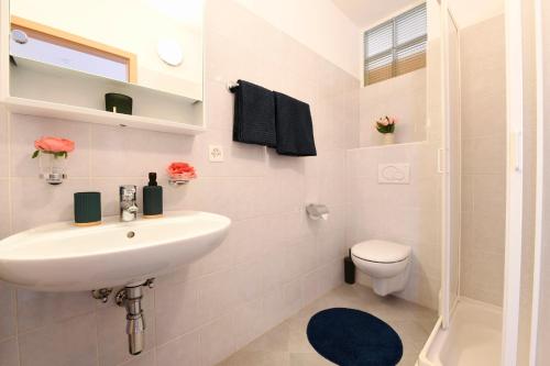 a bathroom with a sink and a toilet at Aria Apartment - Free Parking in Bioggio