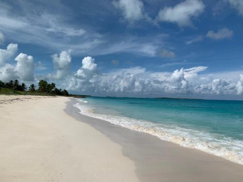 Zdjęcie z galerii obiektu Turtles Nest Bahamas w mieście Hermitage