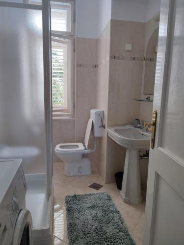 a bathroom with a toilet and a sink at Villa Arancia in Dubrovnik