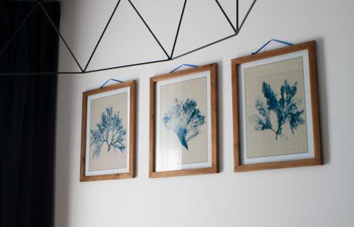 four framed drawings of leaves on a wall at IRS ROYAL APARTMENTS Apartamenty IRS Nadmorze in Gdańsk