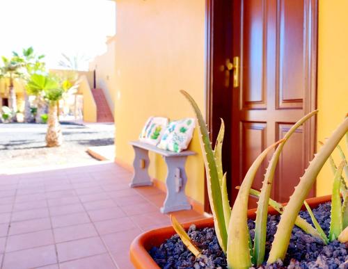 Casa Ledù - Sunny Holiday in Fuerteventura