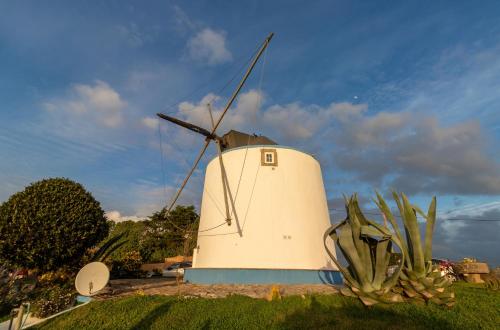 a windmill with a plant in front of it at Moinho Monte Adão in Vila Franca do Rosário