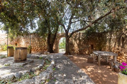 Κήπος έξω από το Badia del Casale