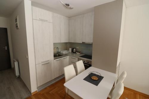 Η κουζίνα ή μικρή κουζίνα στο Apartment Nova Otoka