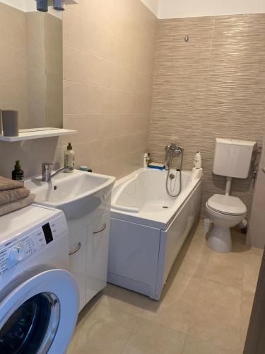 La salle de bains est pourvue d'un lavabo et d'un lave-linge. dans l'établissement Alexandra, à Piteşti