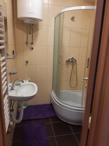 Koupelna v ubytování BelMir Apartment