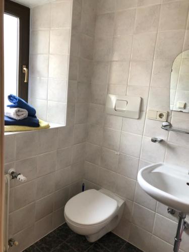 Koupelna v ubytování Gasthof Hohenbichl