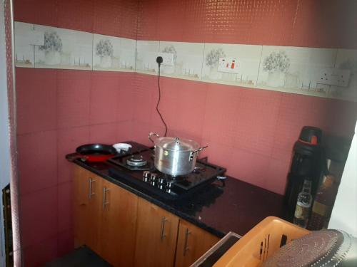a kitchen with a stove with a pot on it at Joleen Safari Park in Dar es Salaam
