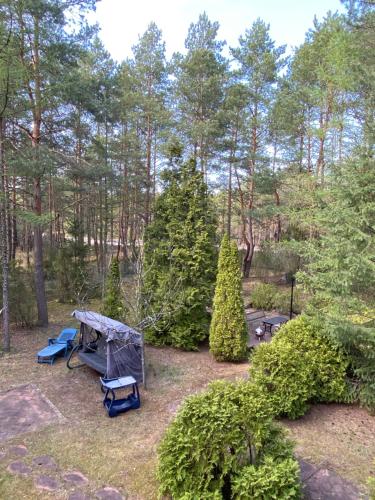 namiot na środku podwórza z drzewami w obiekcie Leśny Czar w Serocku