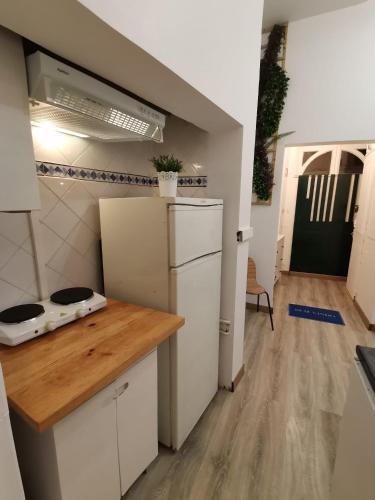a kitchen with a counter top and a refrigerator at Party Zone in Lisbon