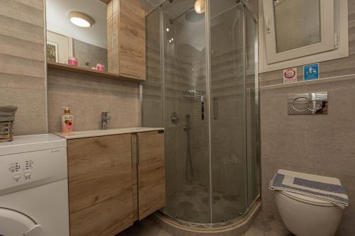 y baño con ducha, aseo y lavamanos. en Foivos Apartment, en Naxos Chora