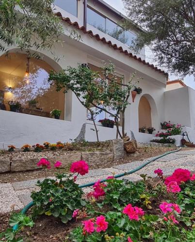 Κήπος έξω από το Il Salice b&b