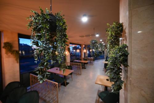 a restaurant with tables and chairs with plants on the walls at Hotel Xemar in Arad