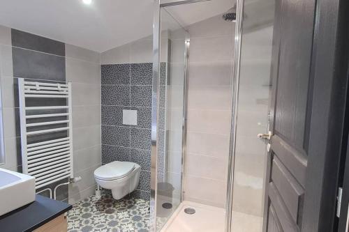 a bathroom with a toilet and a glass shower at Catel Duplex coeur de ville de Saint Dizier 2 chambres in Saint-Dizier