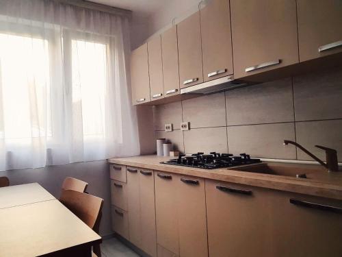Η κουζίνα ή μικρή κουζίνα στο Apartament Primavera Orsova