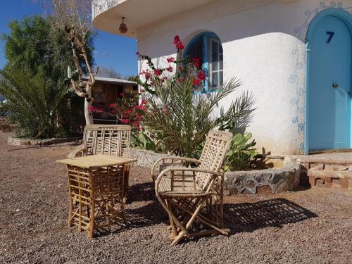 Gallery image of Habiba Beach Lodge in Nuweiba