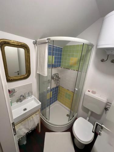 a bathroom with a shower and a toilet and a sink at Edenski vrt in Ivančna Gorica