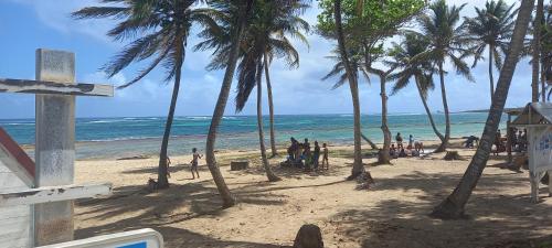 a group of people on a beach with palm trees at Le Moule Location saisonnière Bel appartement in Le Moule