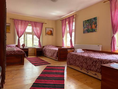 a bedroom with two beds and two windows at Ethno Village Slatkovac in Aleksandrovac