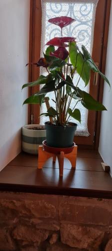 パーメットにあるGarden Guest Houseのギャラリーの写真