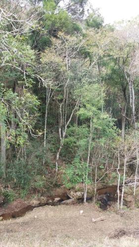 Un paisaje natural cerca de la posada
