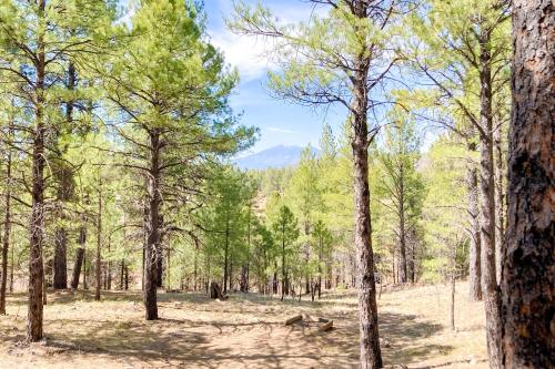 Happy Trails – Photos 4