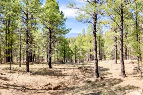 Happy Trails – Photos 5