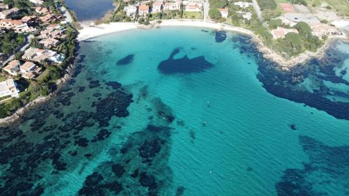 Φυσικό τοπίο κοντά σε αυτό το διαμέρισμα