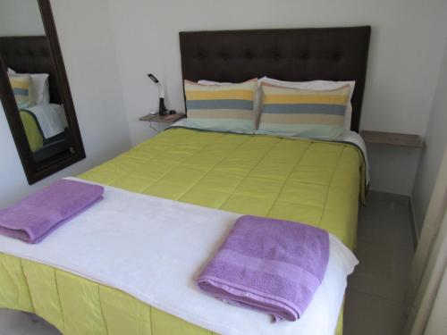 a bed with two purple pillows on top of it at DEL VALLE HOUSE II in Ica